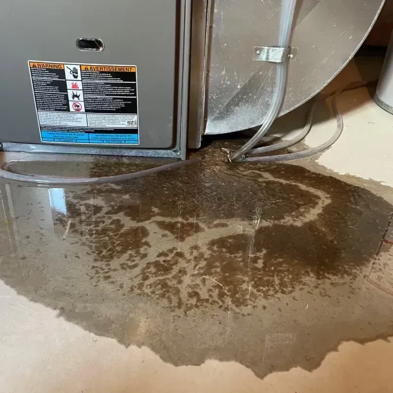 Appliance Leak Cleanup in Gilliam County, OR